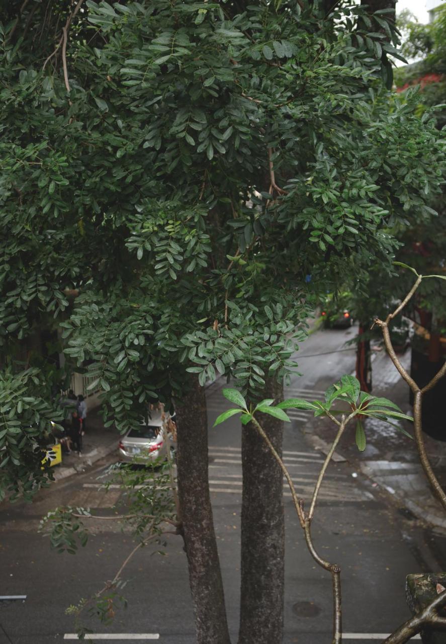 The First Ba Trieu Ha Noi Bed and Breakfast Hanoi Eksteriør billede